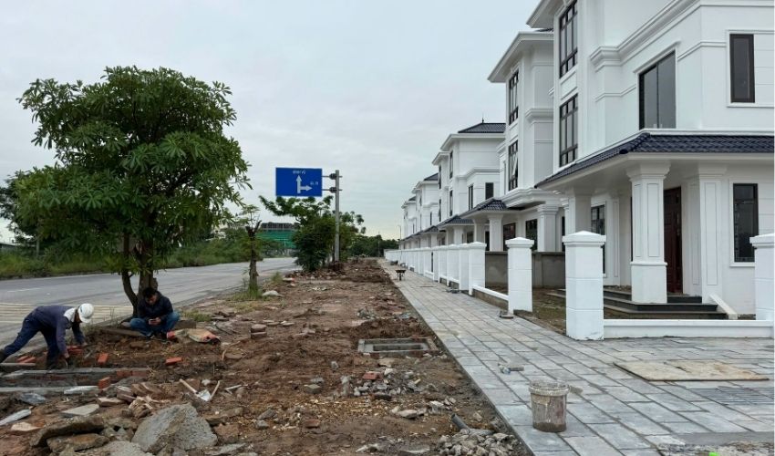 Công ty TNHH Ngân Vũ triển khai chính sách bán hàng linh hoạt và ưu đãi hấp dẫn trong giai đoạn đầu